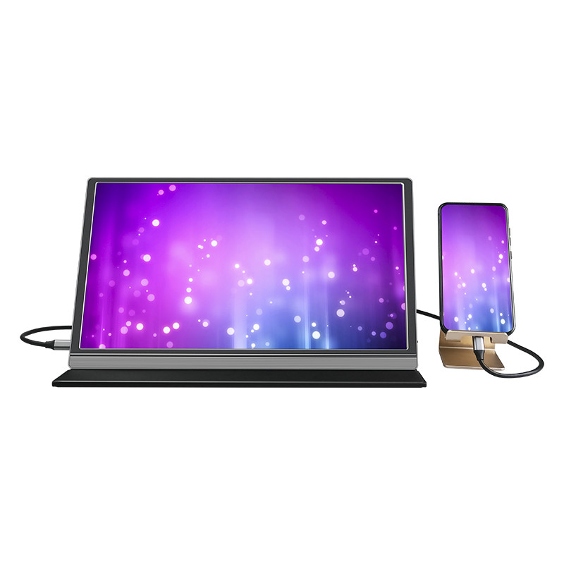 IPS Veelvoudige Laptop van de Taal72% Kleurengamma Slanke Draagbare Monitor